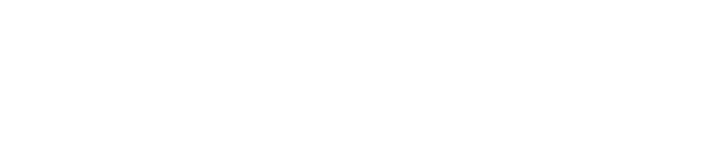 reinhardt_Logovector white